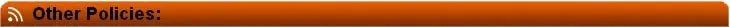 Orange banner with a white RSS icon and the black text "Other Policies".