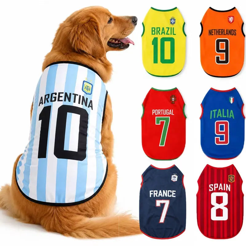 Golden retriever wearing a blue-and-white striped Argentina jersey with number 10, alongside five other team vests.
