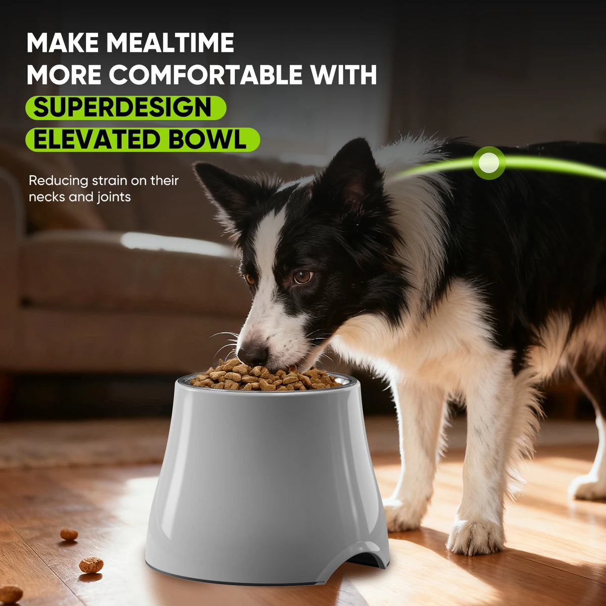Grey elevated stainless steel dog bowl filled with kibble, with a Border Collie eating from it indoors.