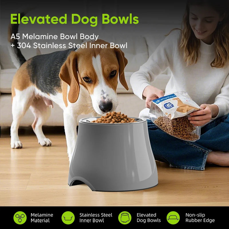 Gray elevated dog bowl with stainless steel inner insert, filled with kibble, near a beagle.