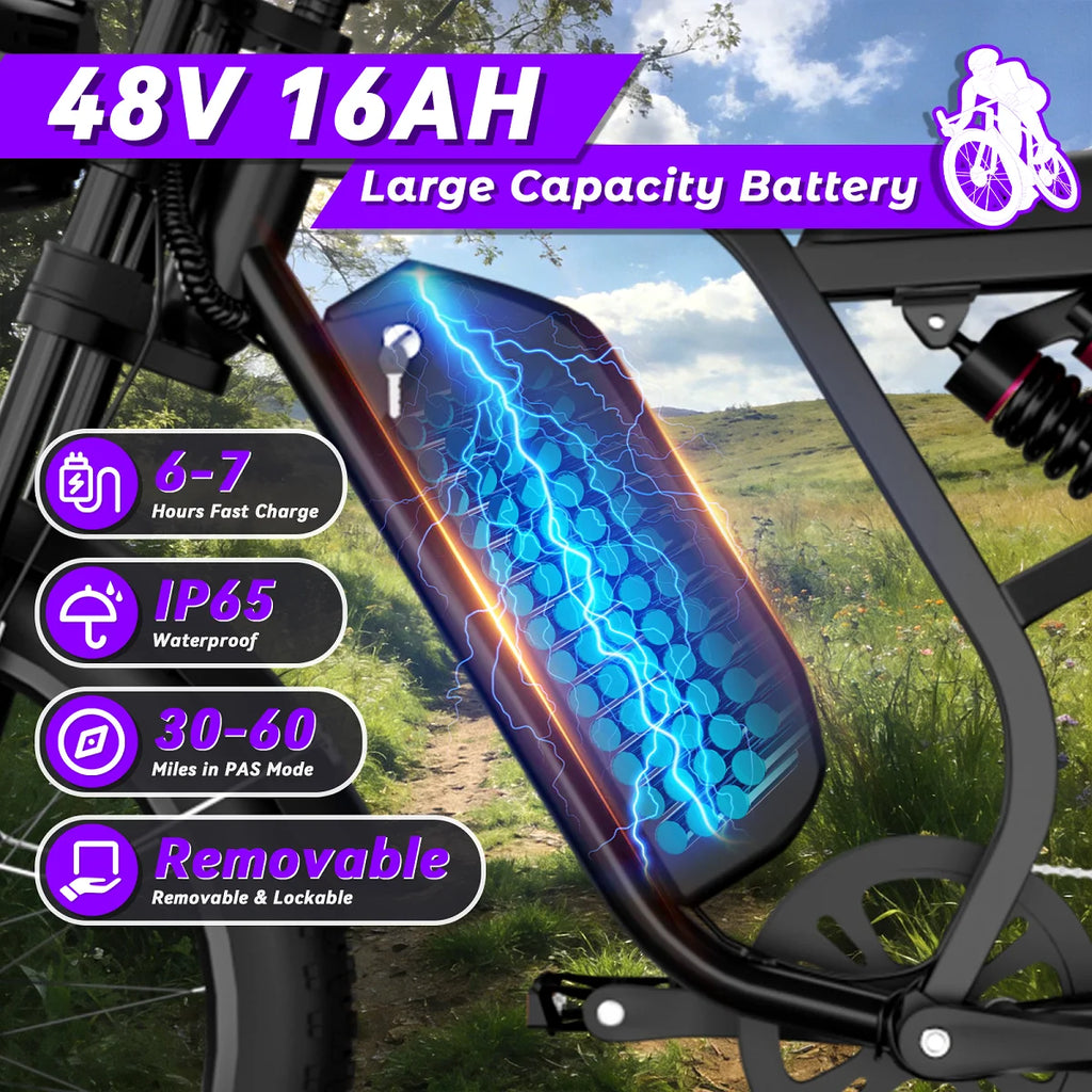 Bluvall SU8 20 Inch 750W Fat Tire Electric Bike for Adults 48V/52V