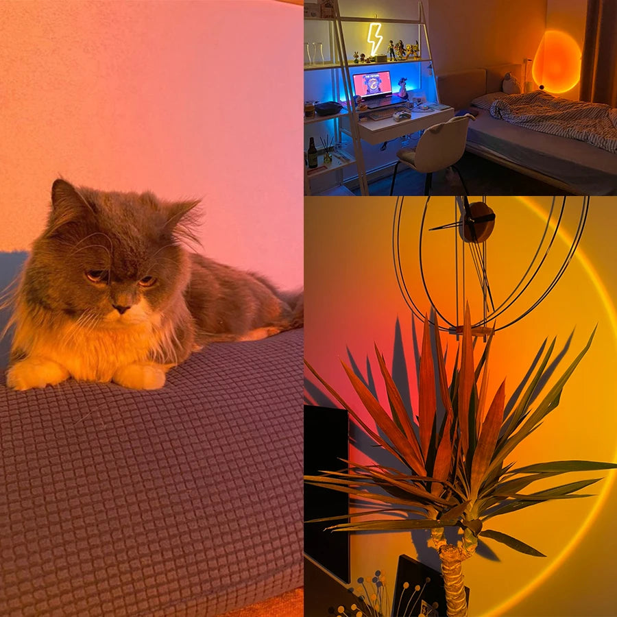 Smart sunset LED lamp casting a warm, vibrant orange glow in a bedroom, illuminating a cat and a houseplant.