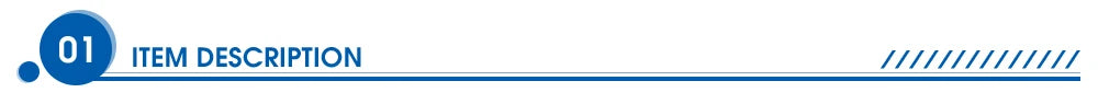 A blue graphic banner featuring the text "01 ITEM DESCRIPTION" with decorative lines.