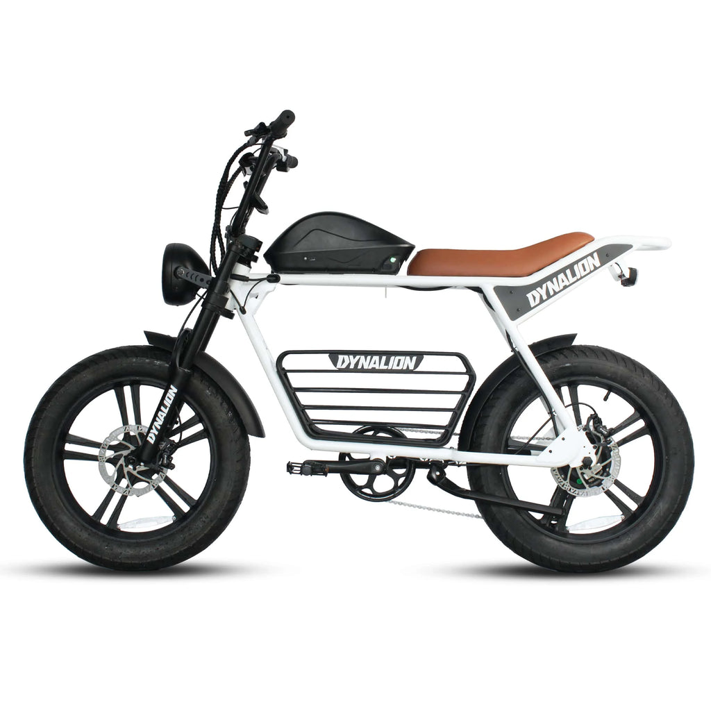 DYNALION K7-2 Vintage Electric Mountain Bike 48V 16Ah 20 Inch Fat Tire