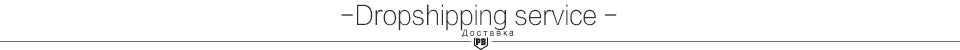 A minimalist banner featuring the text "Dropshipping service" in grey, with a small logo icon centered below.