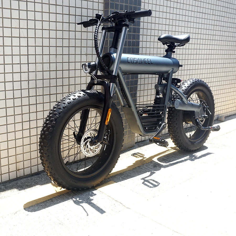 Coswheel T20 48V 7 Speed 20 Inch Fat Tire Electric City Bike