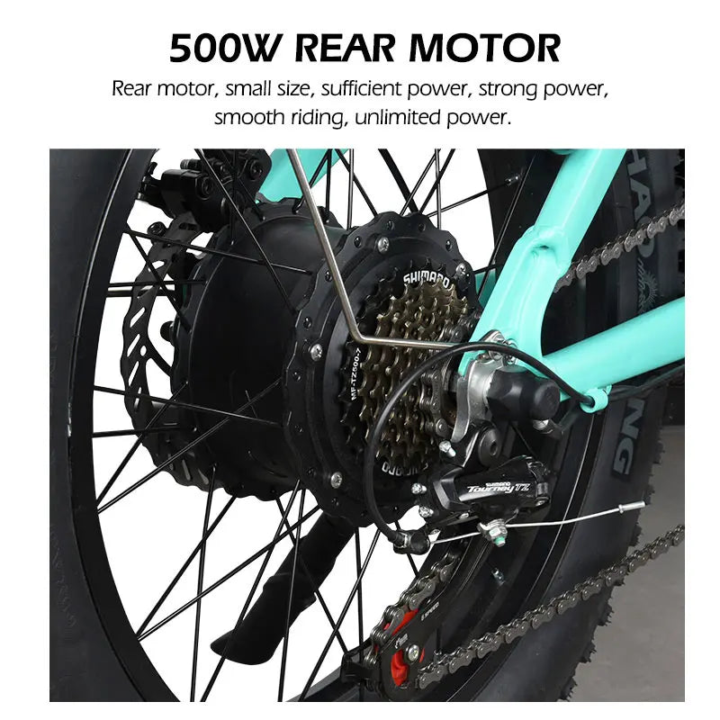 MZ-9 20 Inch 48V 500W/750W 7-Speed Electric Fat Bike with Removable Battery