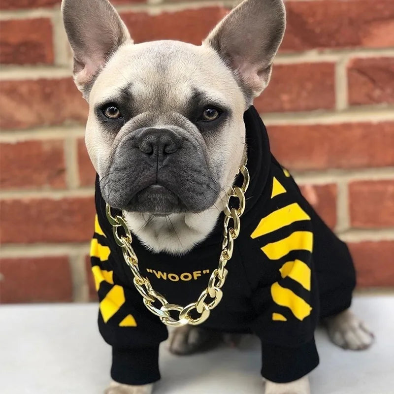 French bulldog wearing a black dog hoodie with yellow stripes, the word "WOOF", and a chunky gold chain necklace.