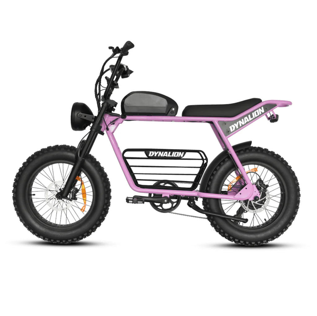 DYNALION K7-2 Vintage Electric Mountain Bike 48V 16Ah 20 Inch Fat Tire