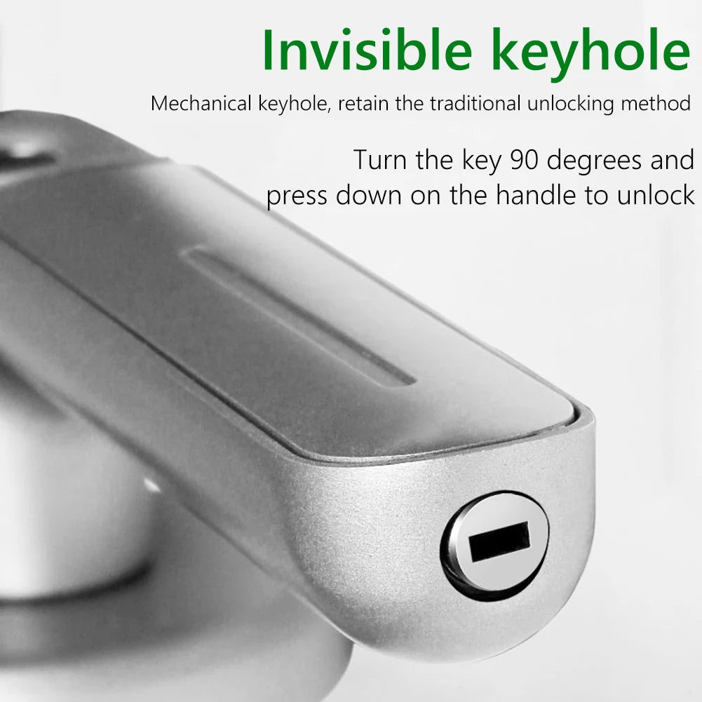 Close-up of a silver metal door handle with a hidden mechanical keyhole at the end.