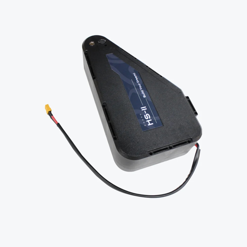 HS-11 52V 30Ah LG 21700 Triangle Lithium Battery with 5A Charger
