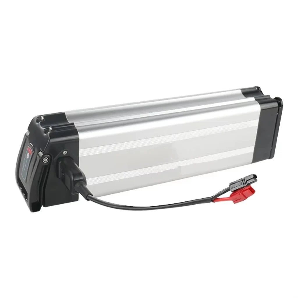 Silver and black 48V 20Ah e-bike lithium battery pack with power lead and connectors against a plain white background.