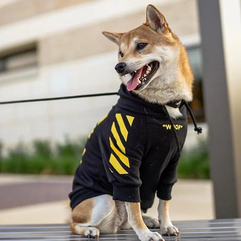 Shiba Inu wearing a black dog hoodie with yellow diagonal sleeve stripes and the text "WOOF" on the chest.
