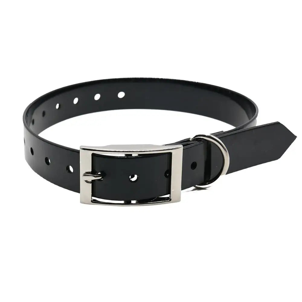 Black waterproof dog collar with a silver buckle, metal D-ring, and multiple adjustment holes.