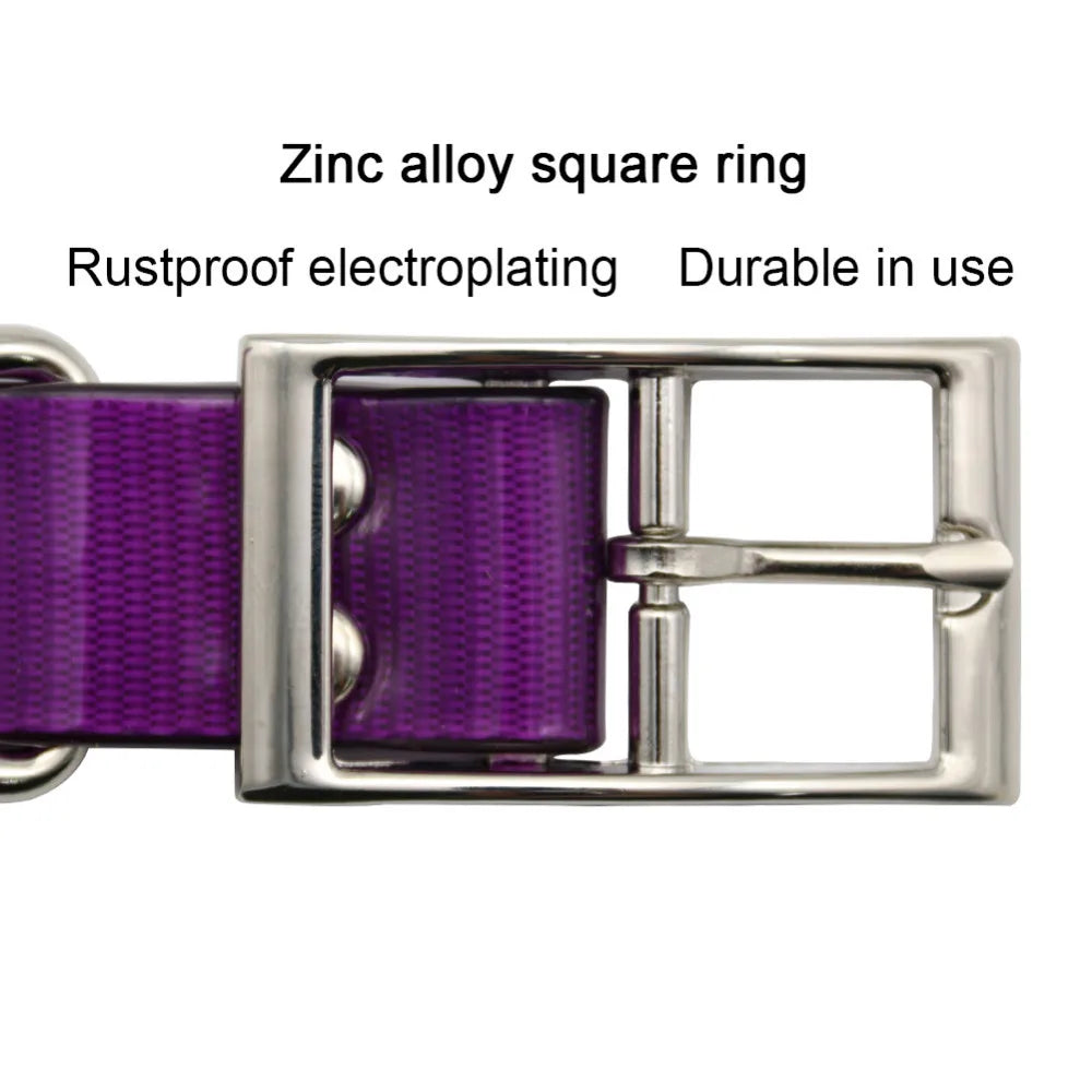 Purple waterproof reflective dog collar featuring a durable, rustproof silver-tone zinc alloy buckle and square ring.