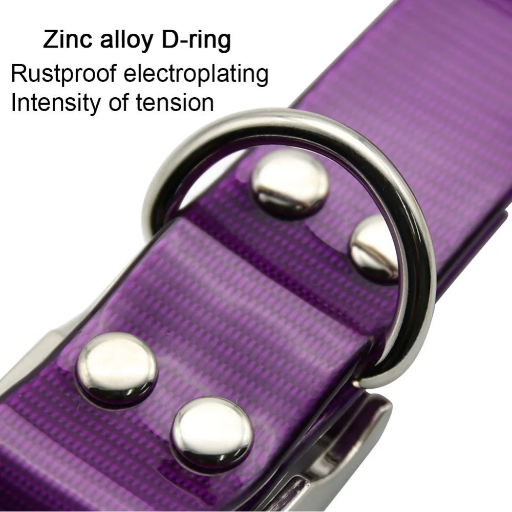 Close-up of a purple waterproof dog collar featuring a durable, rustproof zinc alloy D-ring and silver rivets.