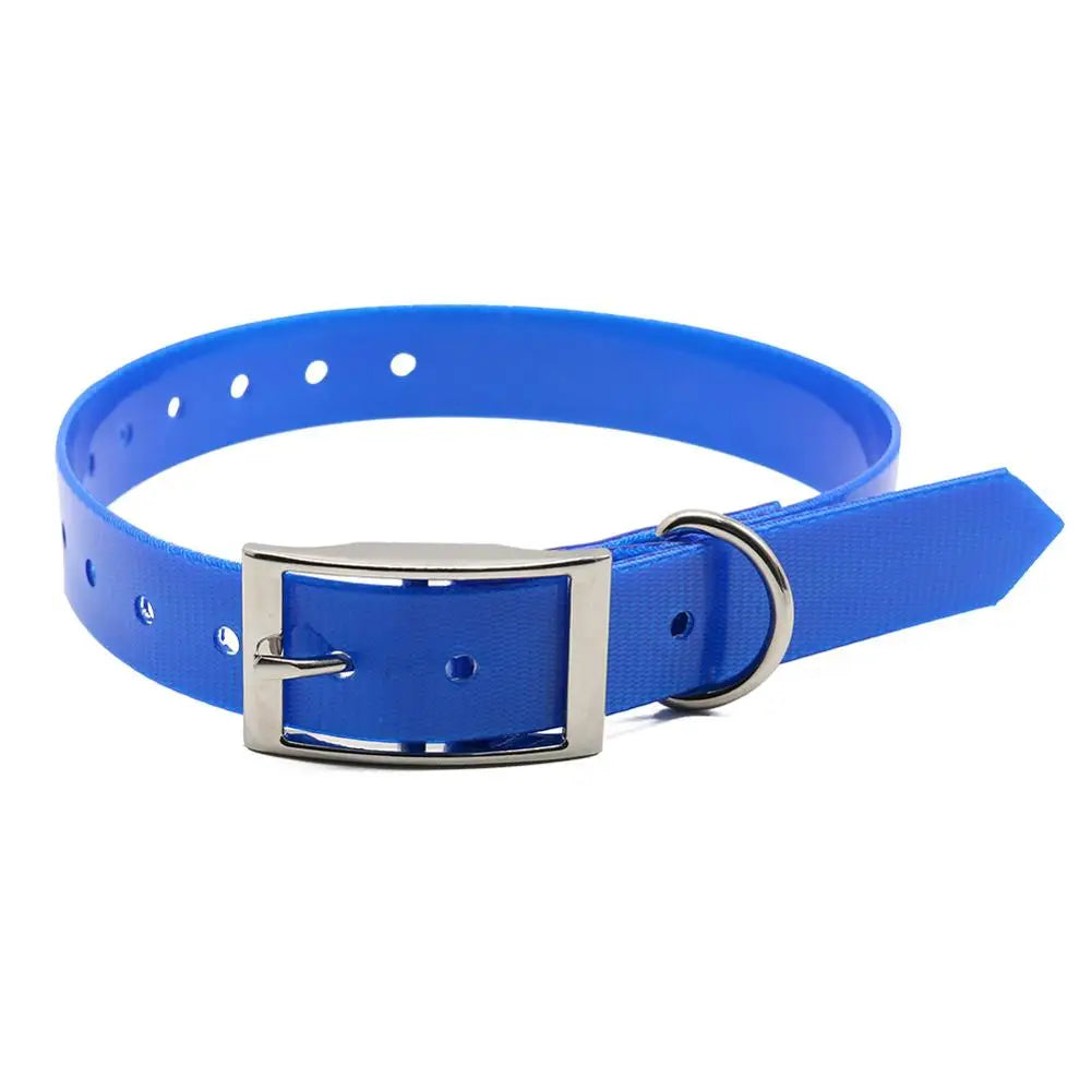 Bright blue, waterproof, reflective dog collar with a sturdy metal buckle and D-ring against a white background.