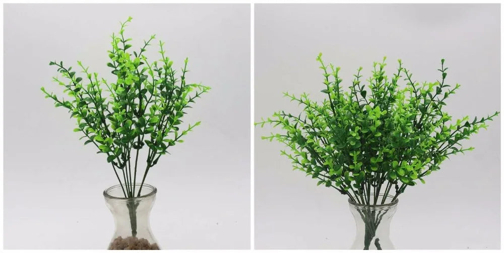 Two bunches of artificial green plastic plants with thin stems and small, pointed leaves, displayed in glass vases.