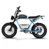 DYNALION K7-2 Vintage Electric Mountain Bike 48V 16Ah 20 Inch Fat Tire