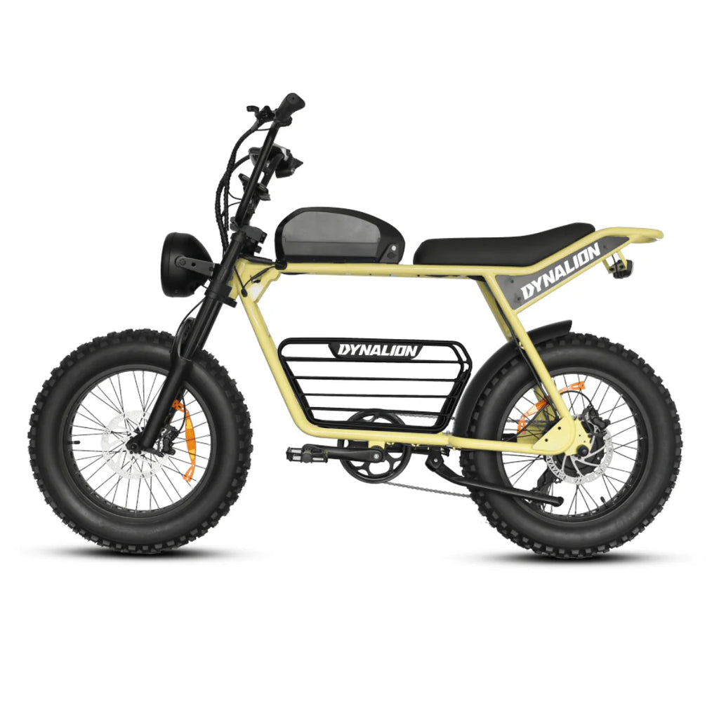 DYNALION K7-2 Vintage Electric Mountain Bike 48V 16Ah 20 Inch Fat Tire