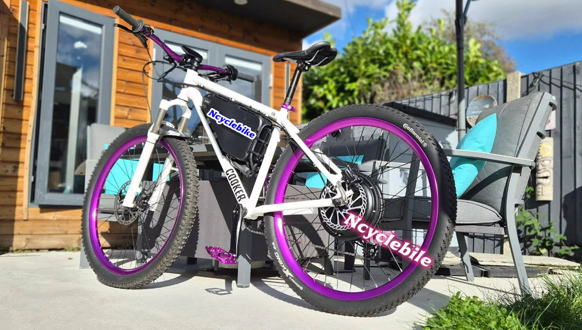 Ncyclebike HS-II Triangle Lithium Battery with 5A Charger for Electric Bikes