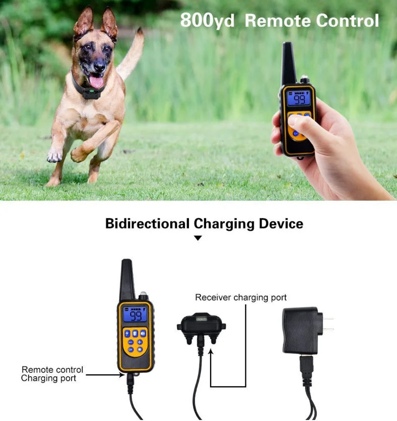 Black and yellow rechargeable dog training collar with an 800yd remote, showing charging ports and accessories.