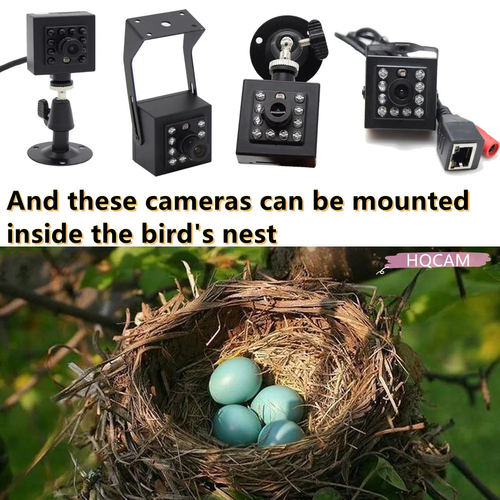 Black square infrared bird nest cameras with metal mounting brackets, cables, and connectors for wildlife monitoring.