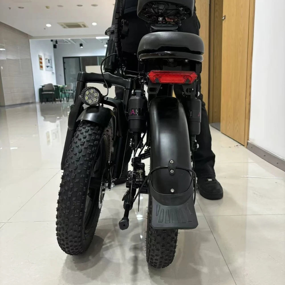TOOFLY G16 16-Inch Folding Electric Bike 48V 250W City E-Bike