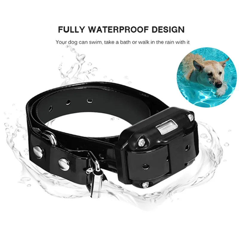 Black, waterproof dog training collar with metal studs, featuring an inset photo of a dog swimming.