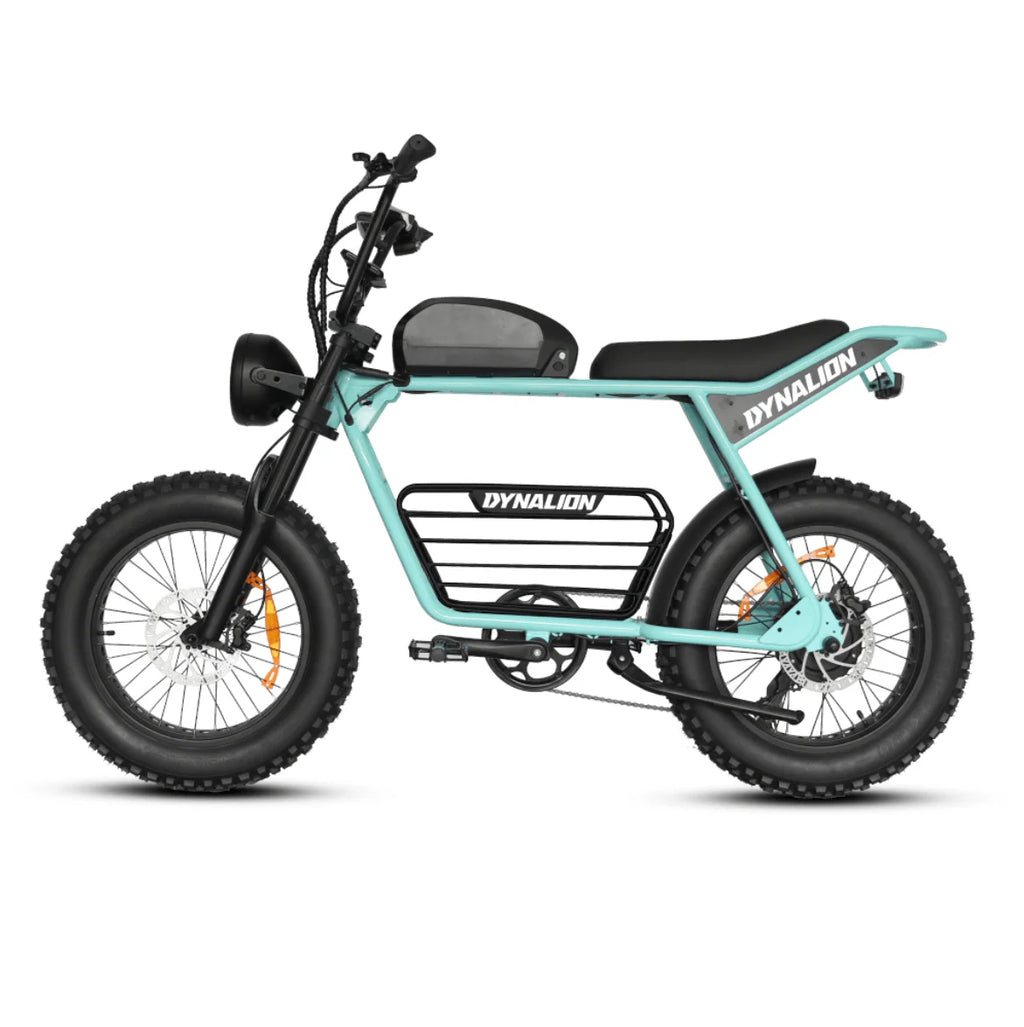 DYNALION K7-2 Vintage Electric Mountain Bike 48V 16Ah 20 Inch Fat Tire
