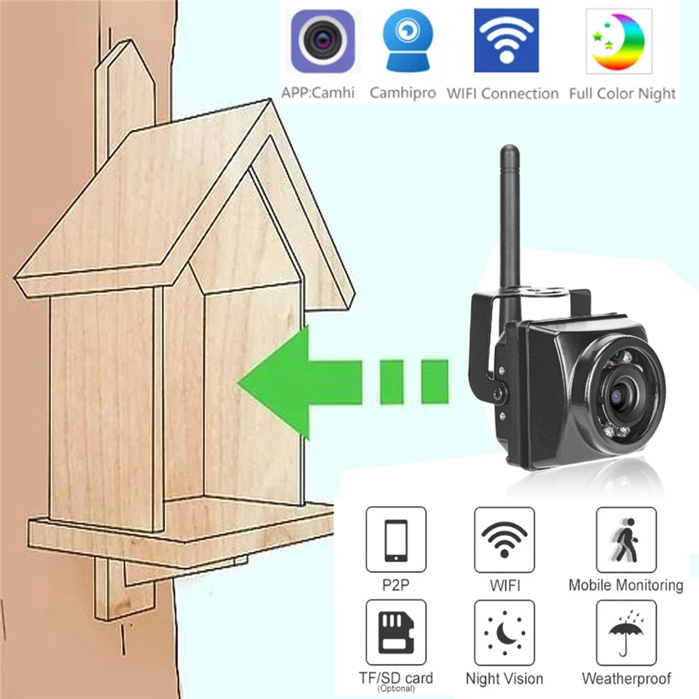 Black wireless camera for a light wooden birdhouse, featuring Wi-Fi, night vision, and mobile app connectivity.