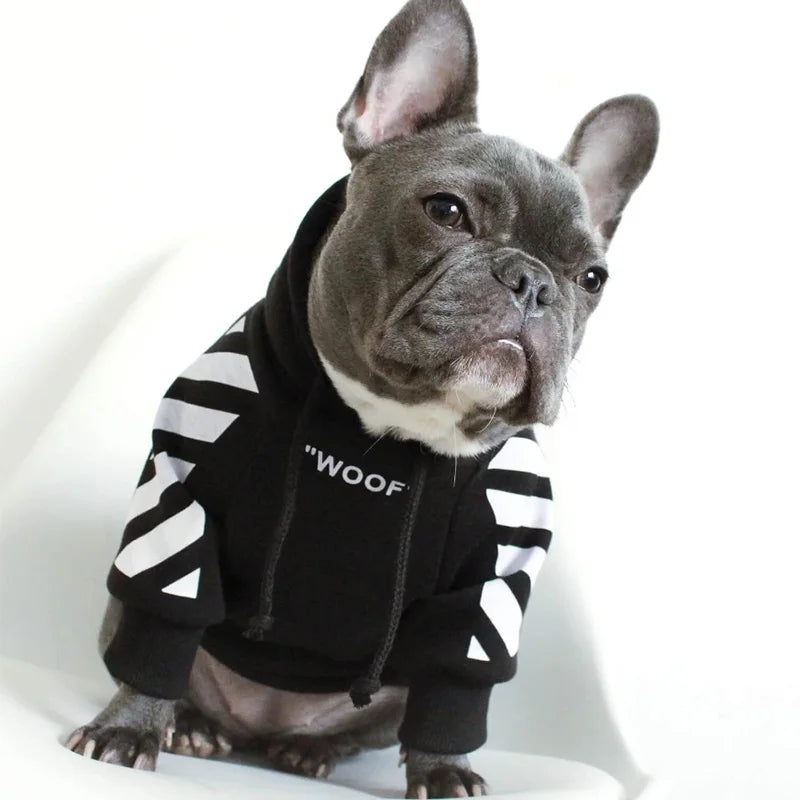 Black dog hoodie with white sleeve stripes and "WOOF" text worn by a gray French bulldog.