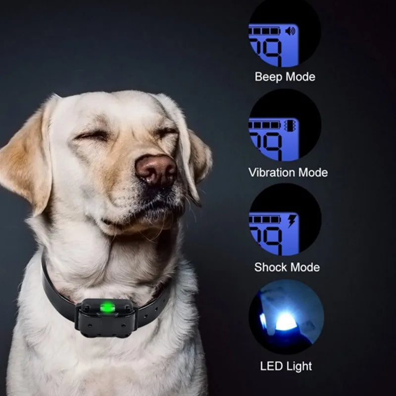 A yellow Labrador wearing a black rechargeable training collar with beep, vibration, shock, and LED light settings.