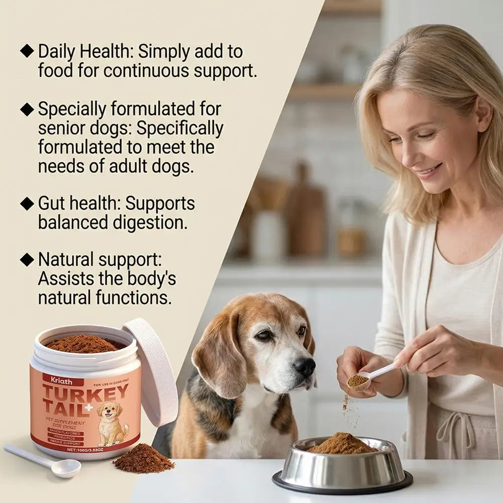 Woman adding powdered turkey tail dog supplement to a bowl for a senior beagle. Promotes gut health and daily wellness.
