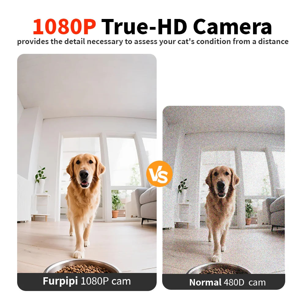 Comparison graphic showing a sharp 1080p camera feed versus a blurry 480p feed of a dog eating.