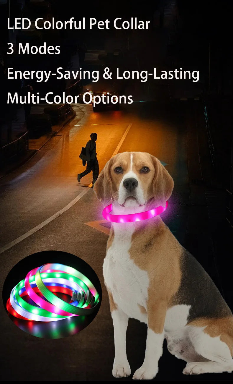A beagle wears a glowing pink LED waterproof dog collar at night, with a coil of multi-coloured collars shown.