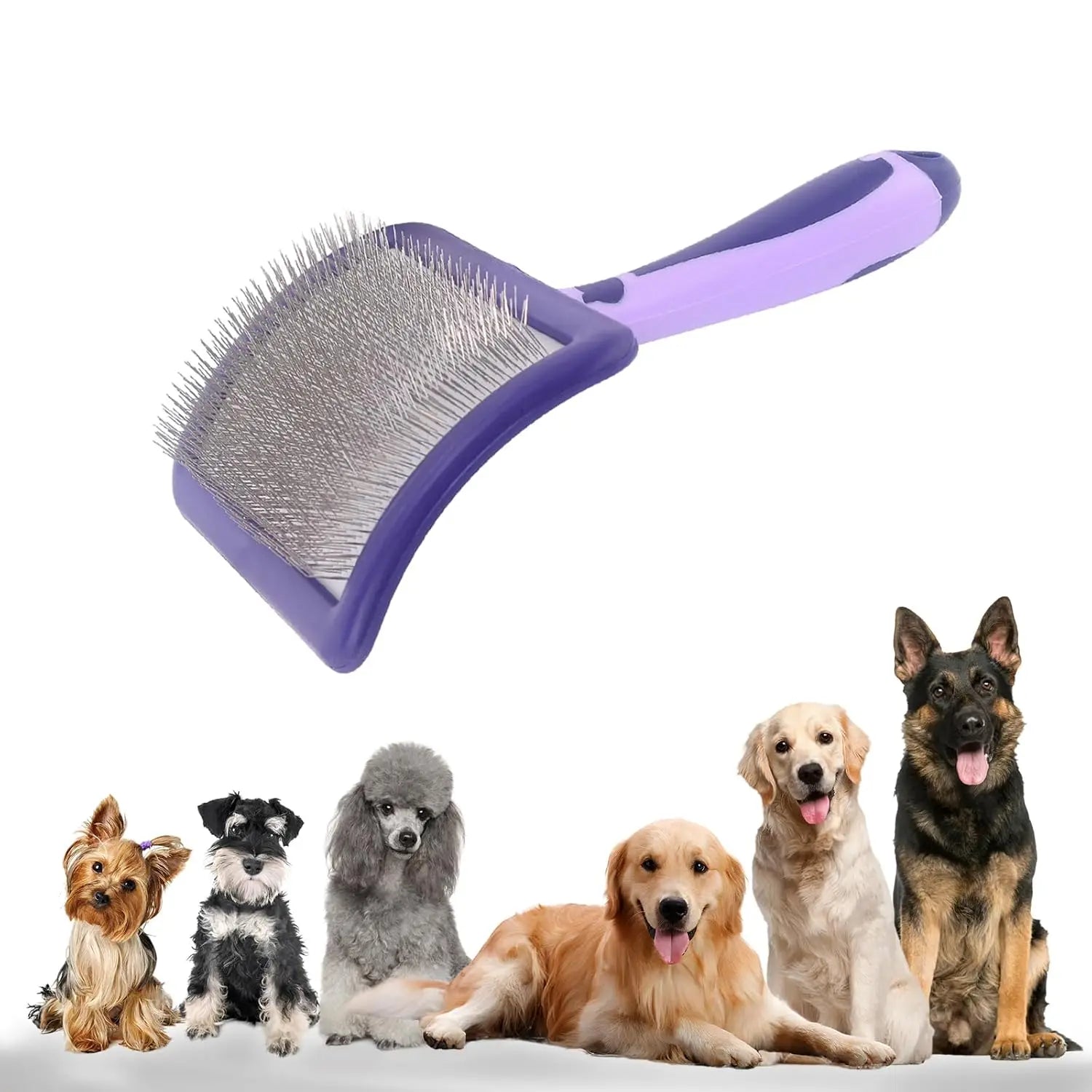Purple dog grooming slicker brush with fine metal bristles, suitable for detangling and dematting all dog breeds.