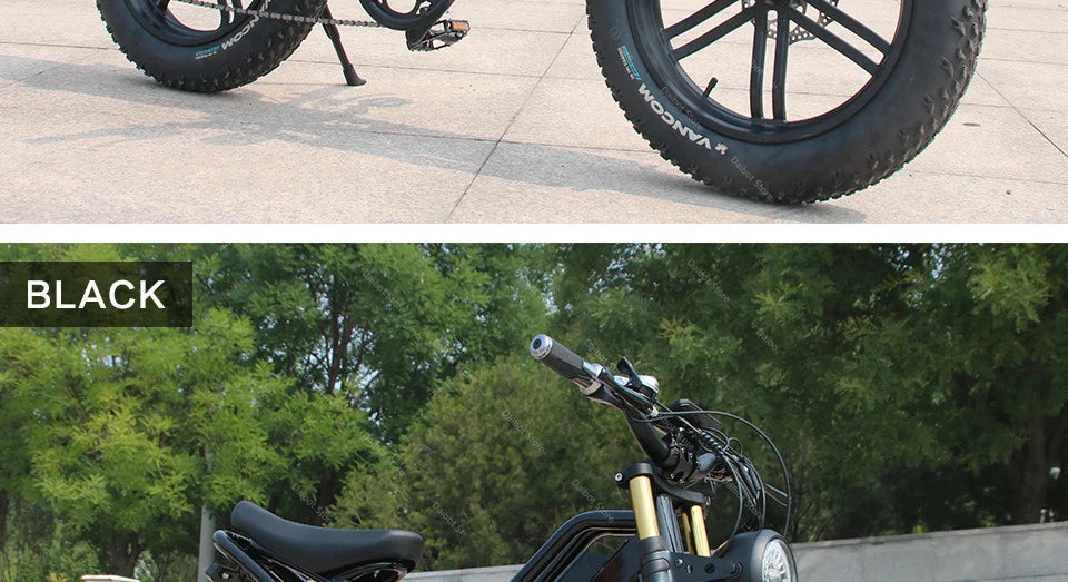 Powerful Electric bike 750W 48V Fat Tire bike
