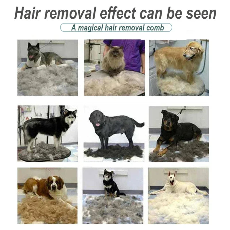 Collage of nine different dogs surrounded by large piles of shed fur, demonstrating the results of a pet grooming comb.