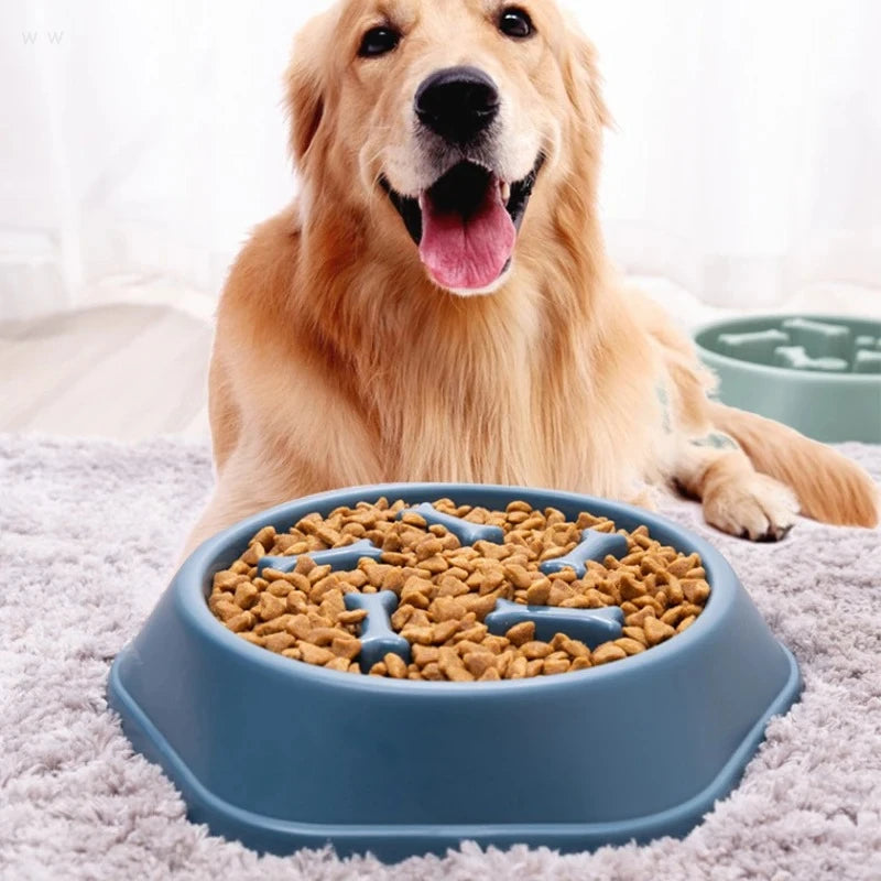 A golden retriever sits behind a blue, slow-feeder dog bowl filled with dry kibble, featuring bone-shaped obstacles.