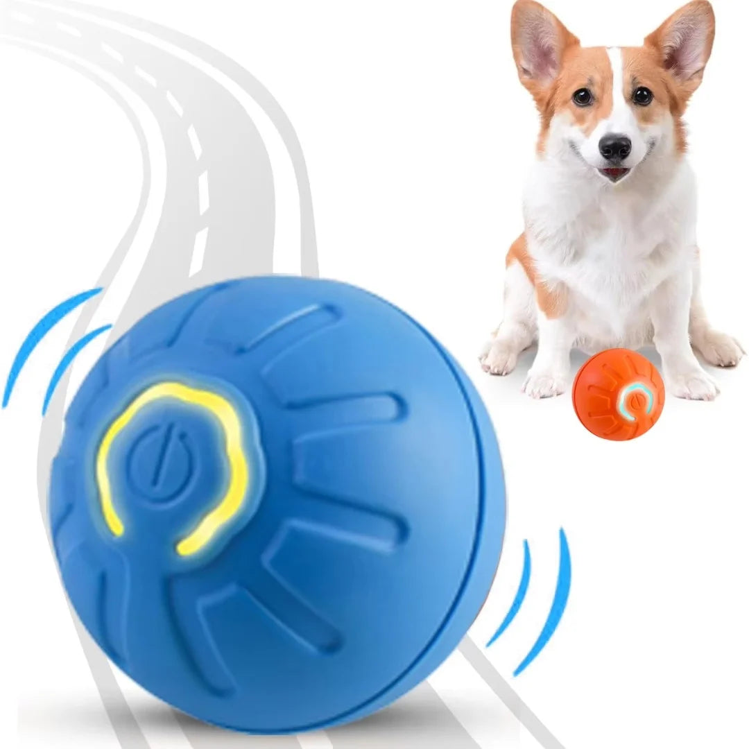 Blue and orange interactive electric pet balls with power buttons, shown with a Corgi dog.