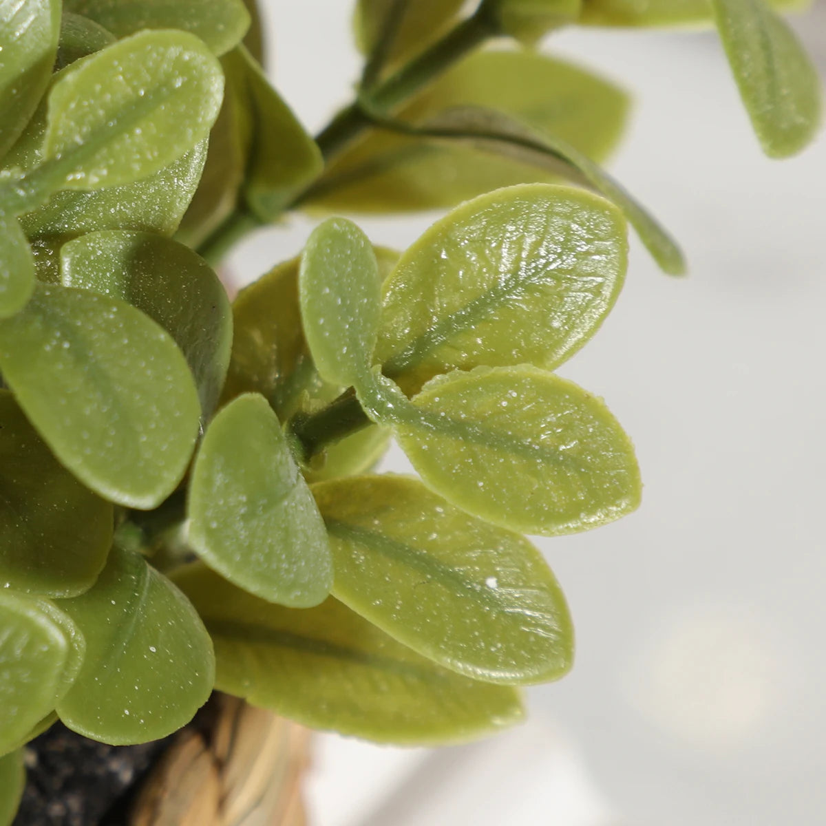 Close-up of a small artificial plant with vibrant green, oval-shaped leaves in a woven basket.