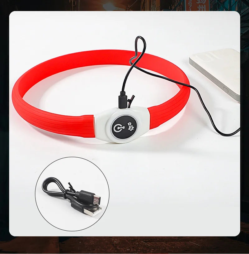 Bright red rechargeable LED dog collar with white control unit and included USB charging cable on a white background.