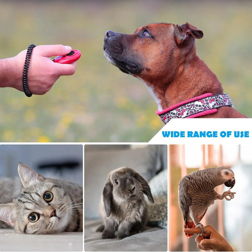 Red handheld training clicker with a black wrist coil, shown being used with a dog, cat, rabbit, and parrot.