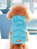Small dog wearing a bright blue, quilted, sleeveless winter puffer jacket with an integrated harness D-ring.