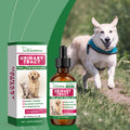 Amber dropper bottle of mint-flavoured urinary tract supplement for cats and dogs, supporting kidney and bladder health.