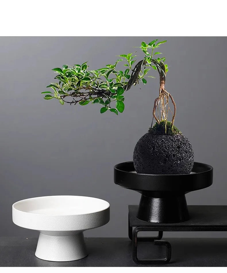 Bonsai tree in a round, textured black stone pot on a pedestal stand, next to an empty white display pedestal.