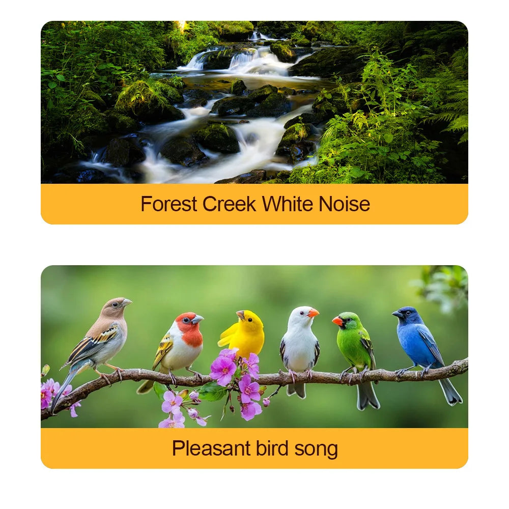 Two rectangular panels showing a forest creek scene and six colourful birds on a branch, illustrating sleep sounds.