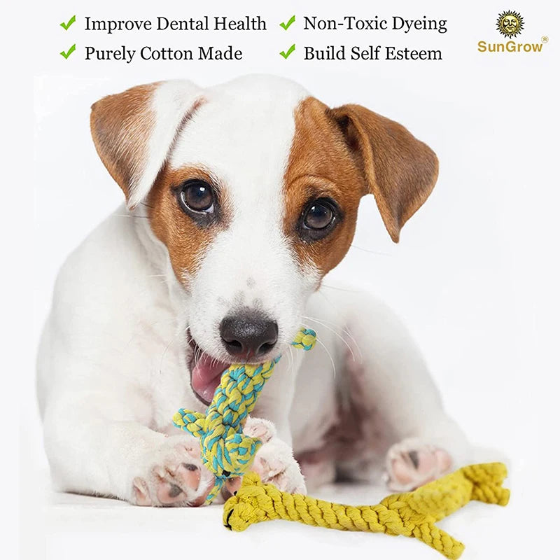 A Jack Russell puppy playing with a yellow and blue braided cotton animal-shaped rope toy for dental health.