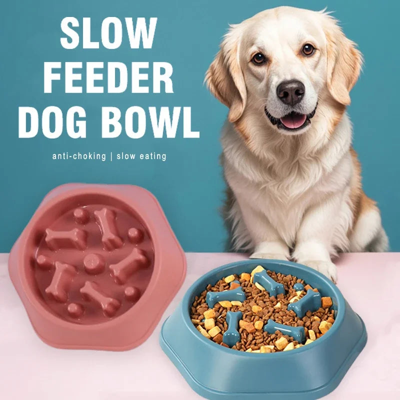 A golden retriever next to a pink and a blue hexagonal dog slow feeder bowl with bone-shaped dividers.